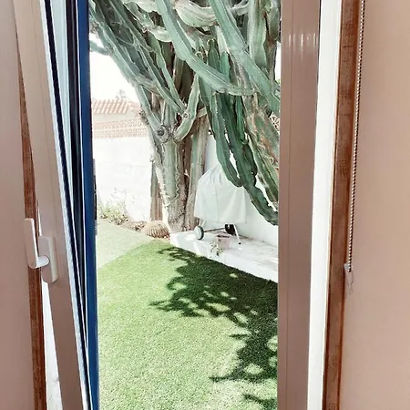 Casa Cactus Guest house *